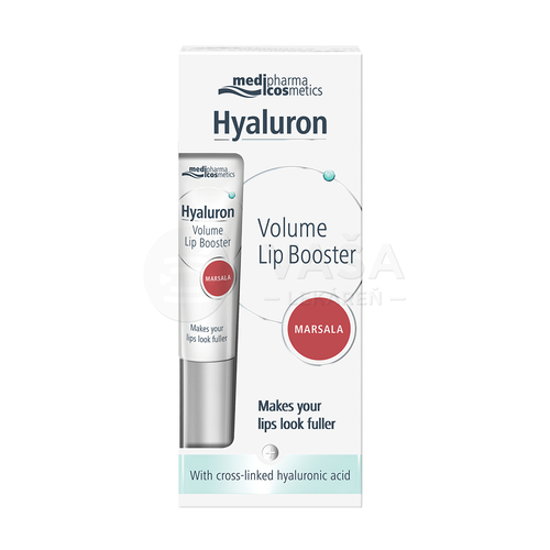 Pharmatheiss Hyaluron Volume Lip Booster (marsala)