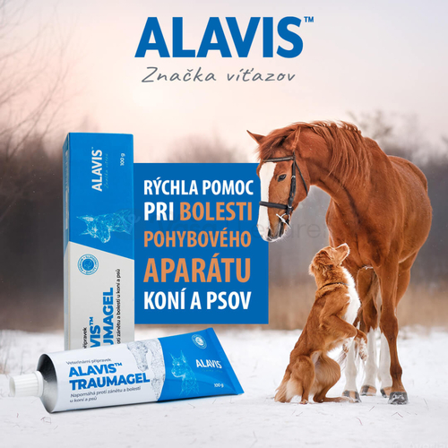 Alavis Traumagel
