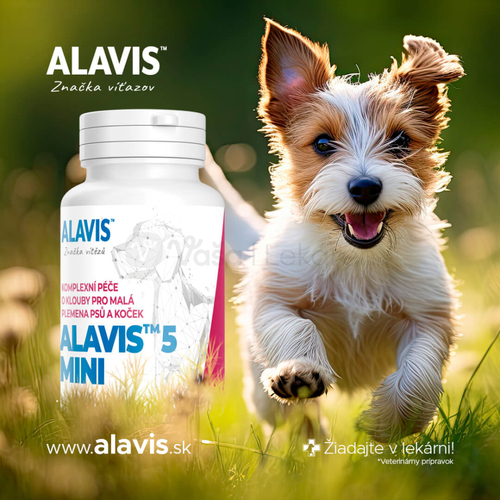 Alavis 5 Mini