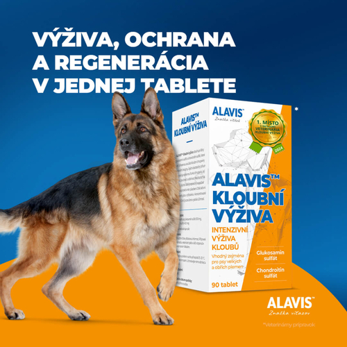 Alavis Kĺbová Výživa