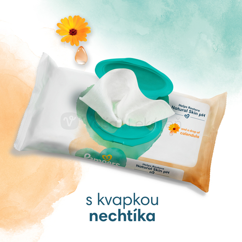 Pampers Harmonie Calendula Vlhčené obrúsky (24 balení)