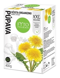 Fyto Čaj Púpava Sypaný koreň (XXL balenie)