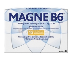 Magne B6