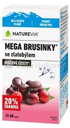 Naturevia Mega Brusnice so zlatobyľou