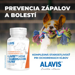 Alavis Msm+glukozamín Sulfát